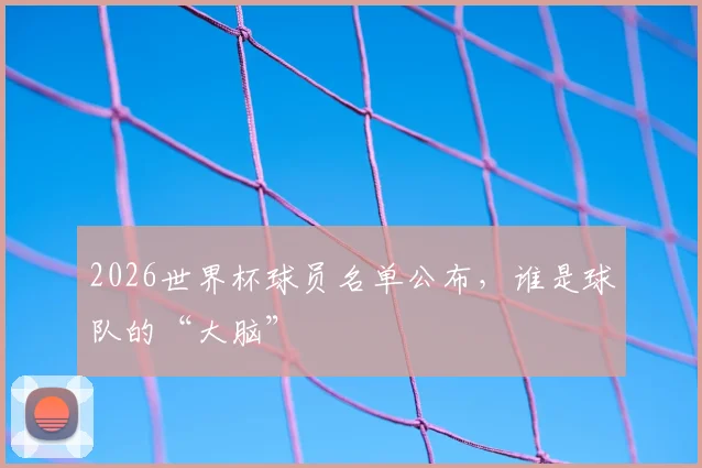 2026世界杯球员名单公布,谁是球队的“大脑”