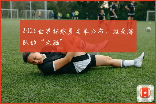2026世界杯球员名单公布,谁是球队的“大脑”